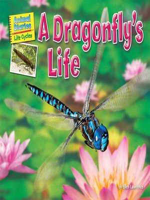 cover image of A Dragonfly's Life
